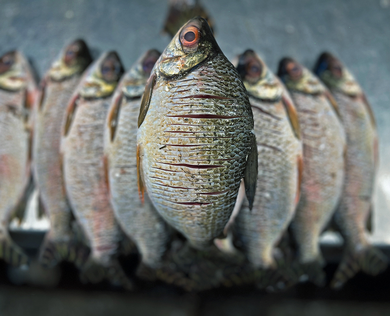 Experiência Thinking Tour